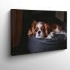 Chien-Cavalier-King-Charles-Spaniel-tableau-photo-horizontal-4657515995964