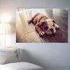 Chien-bulldog-francais-tableau-photo-horizontal-3778986142135