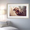 Chien-bulldog-francais-tableau-photo-horizontal-3778986142135
