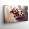 Chien-bulldog-francais-tableau-photo-horizontal-3778986142135