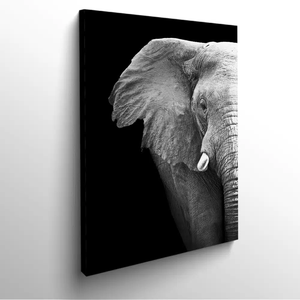Elephant-d'afrique-tableau-photo-vertical-1573759553787