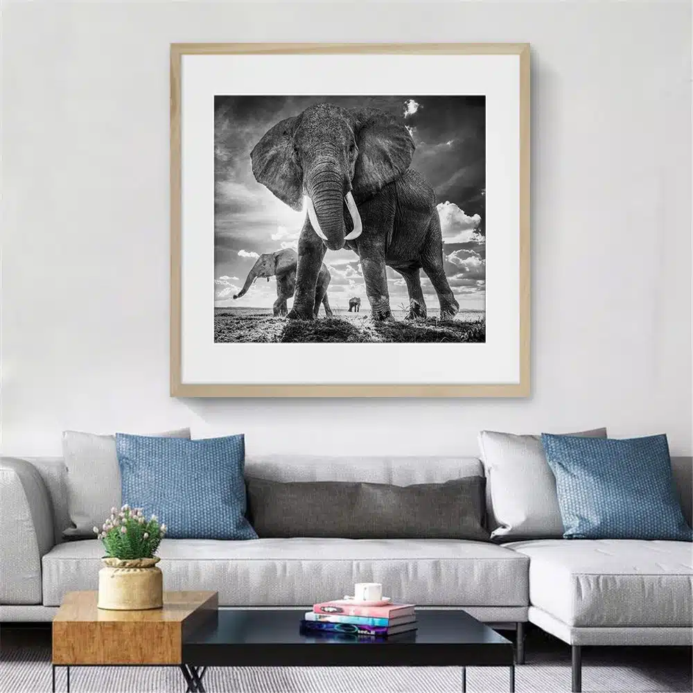 Elephants-afrique-9573611554948-tableau-photo-carre-