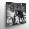 Elephants-afrique-9573611554948-tableau-photo-carre-