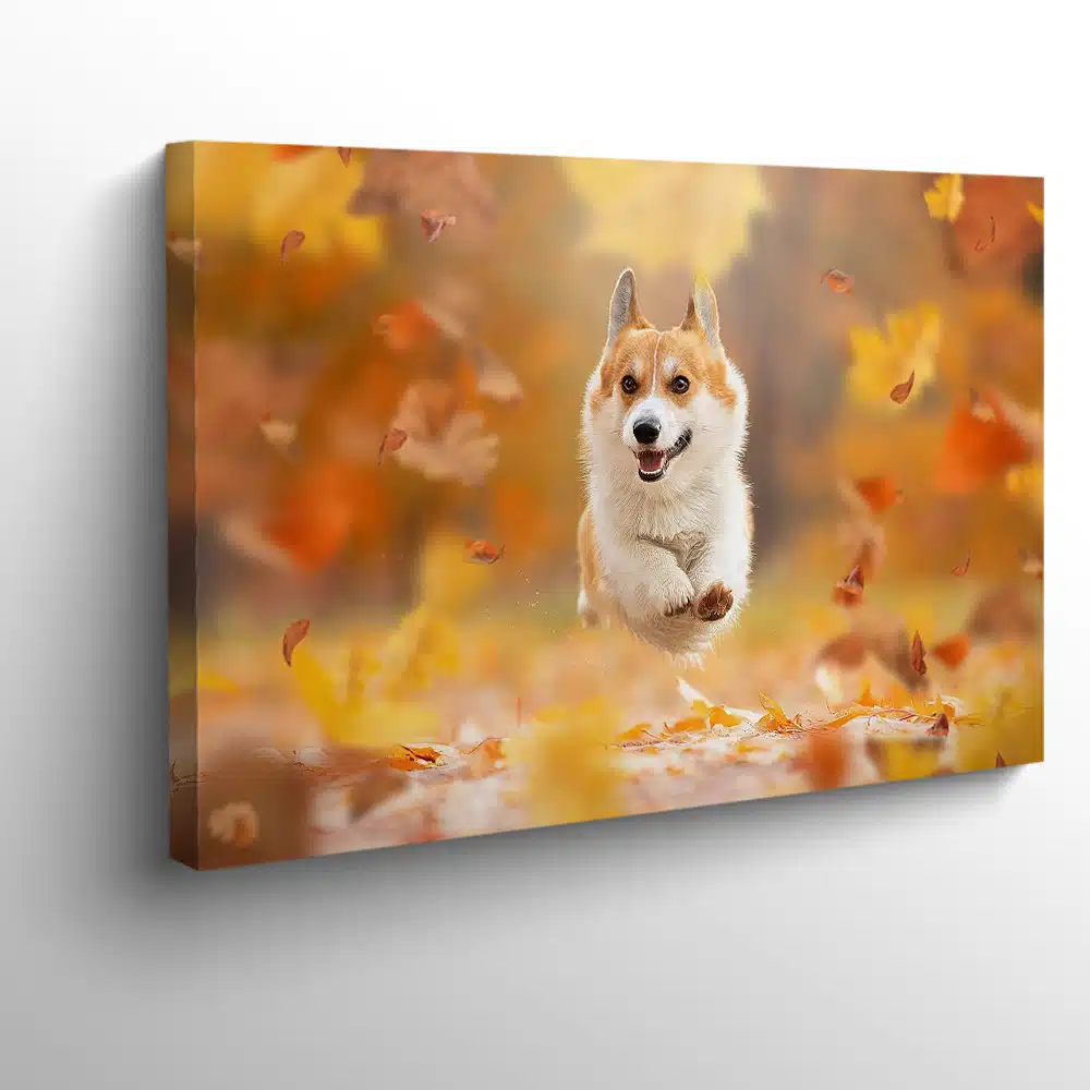 chien-heureux-foret-tableau-photo-horizontal-9133625955749