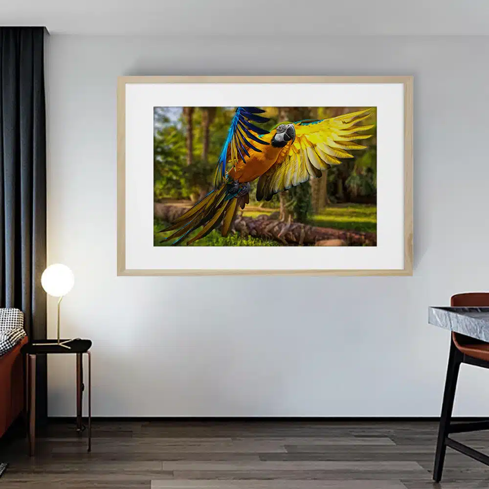perroquet-coloré-vol-foret-tableau-photo-horizontal-3615721339229