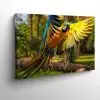 perroquet-coloré-vol-foret-tableau-photo-horizontal-3615721339229