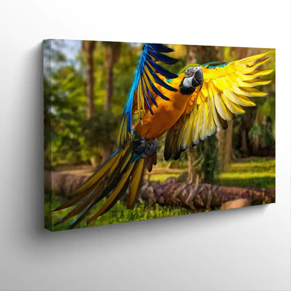 perroquet-coloré-vol-foret-tableau-photo-horizontal-3615721339229