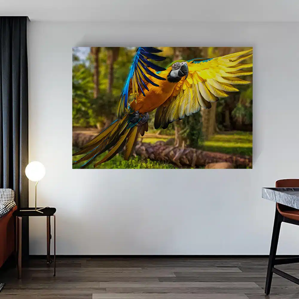 perroquet-coloré-vol-foret-tableau-photo-horizontal-3615721339229