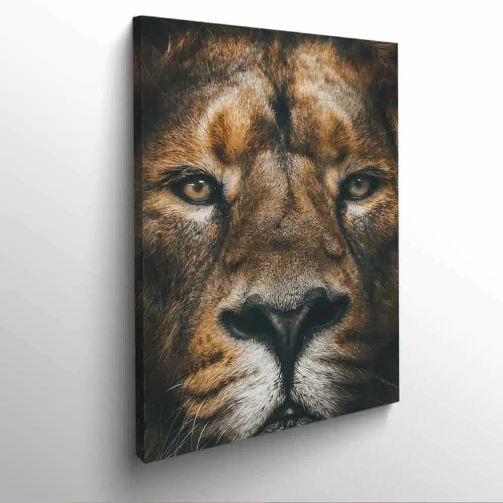 tableau photo vertical tete lion 9218528782697