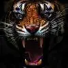 tableau photo vertical tete tigre 5545675732661