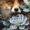 tableau photo cadre toile plexi Renard
