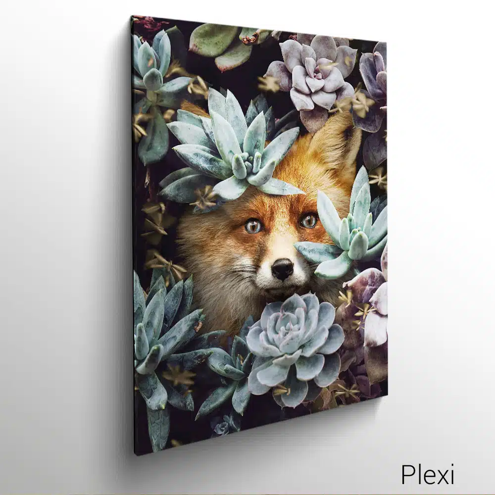tableau photo cadre toile plexi Renard